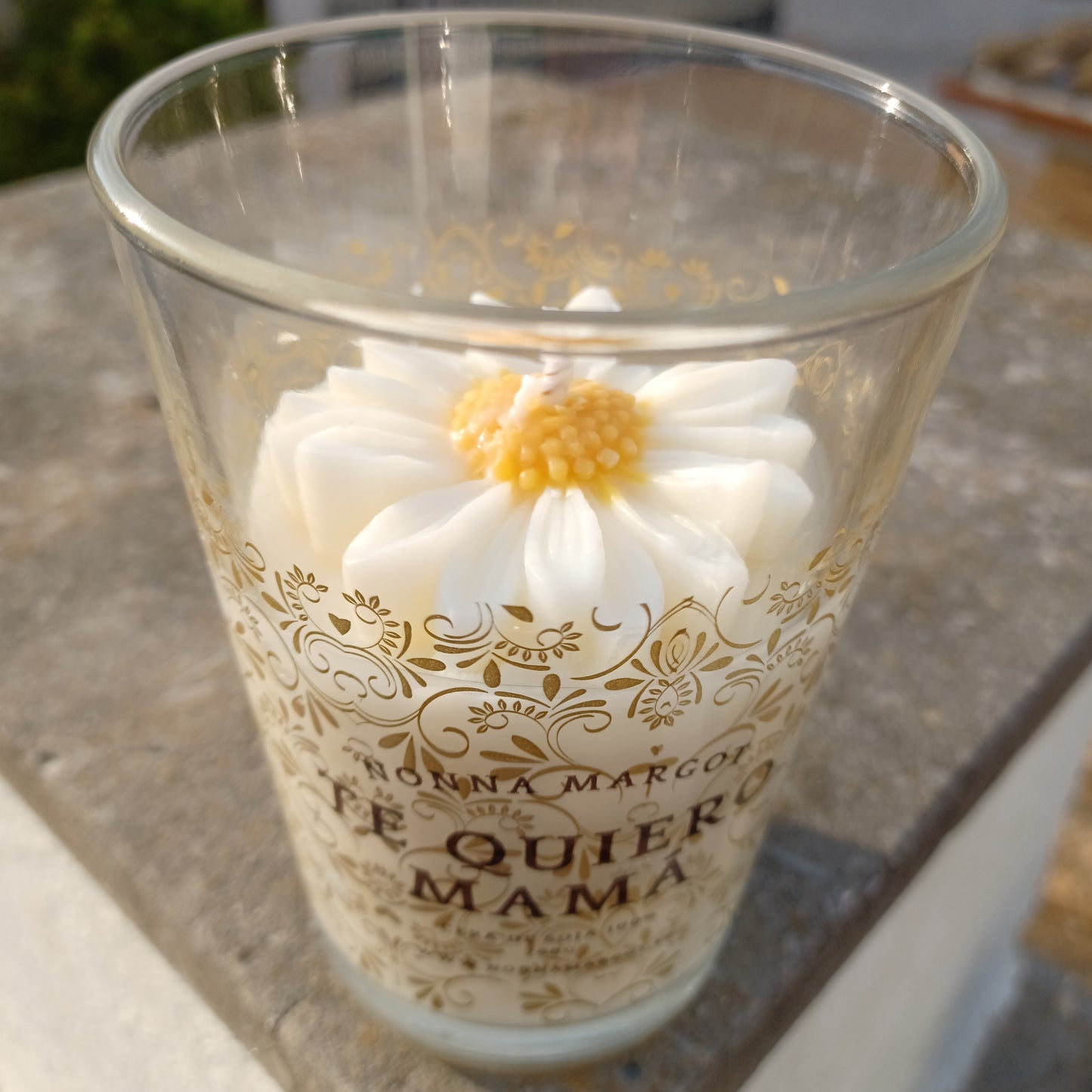 🌼 Daisy - Edición Limitada