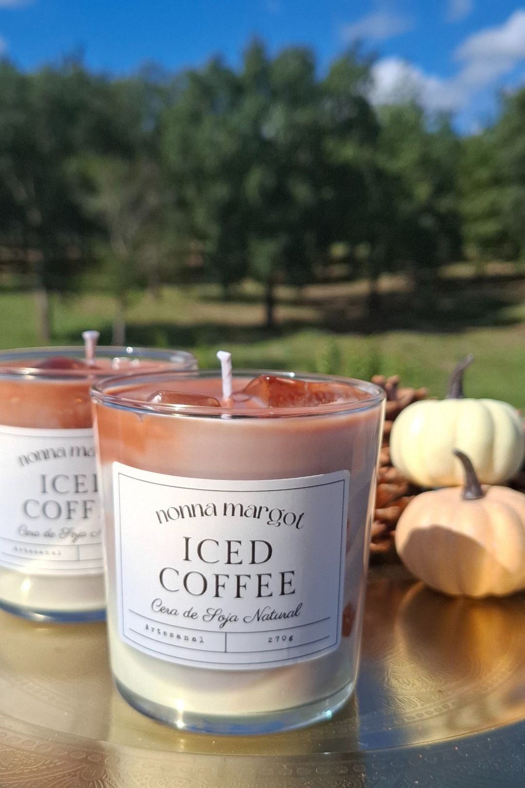 Iced Coffee Latte