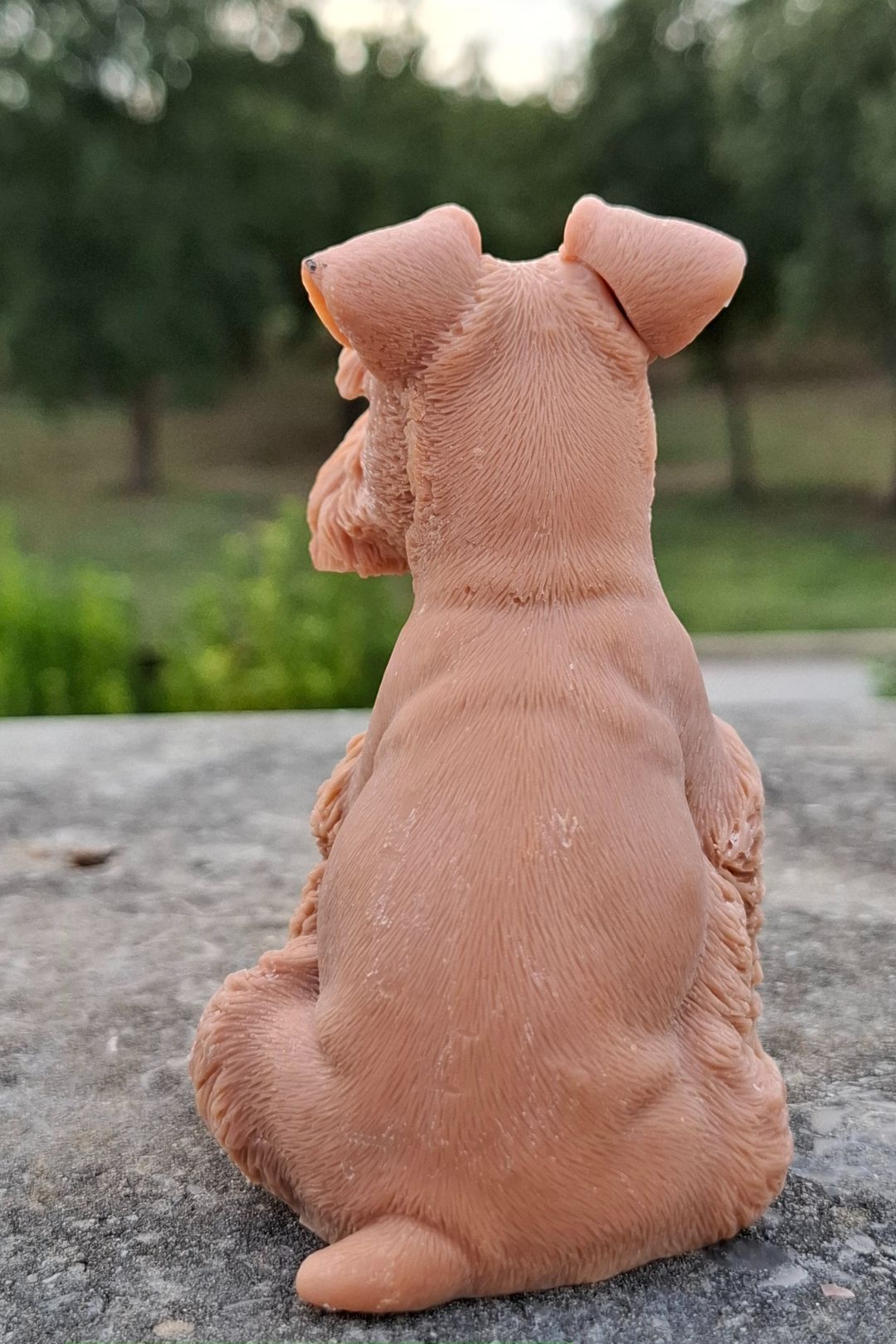 Schnauzer 🐾🤍