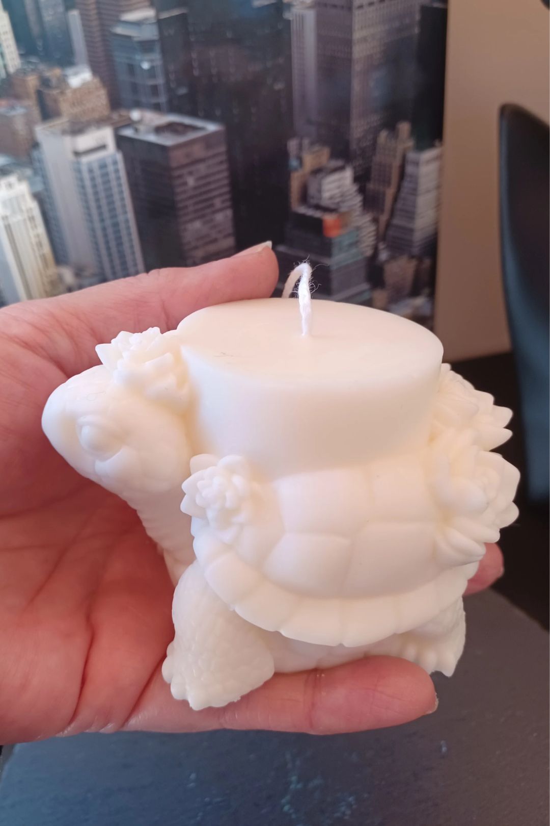 Tortuga