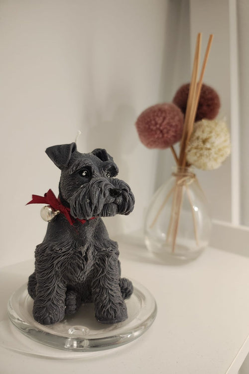 Velas decorativas