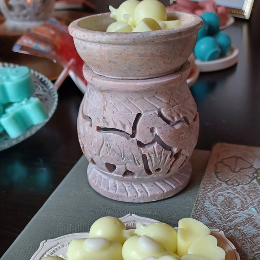 Wax Melts Limón