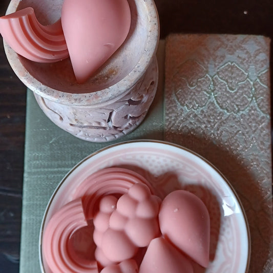 Wax Melts Sandía