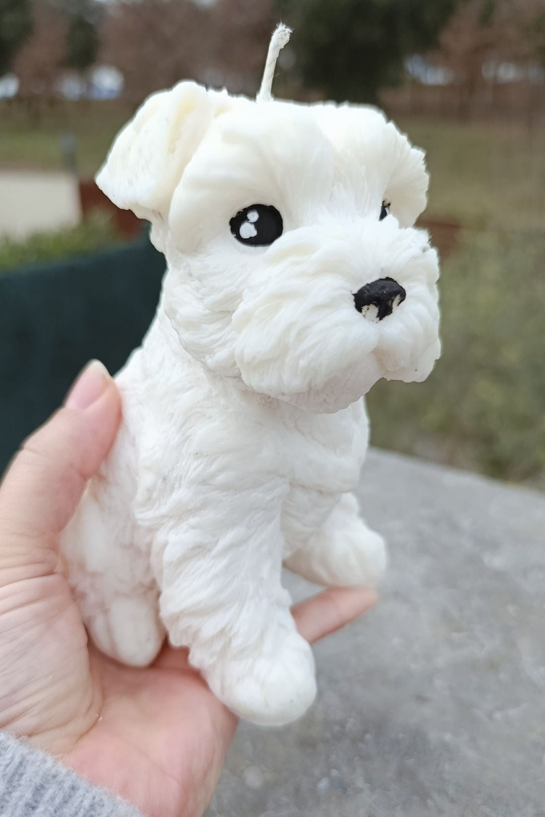 Big Schnauzer