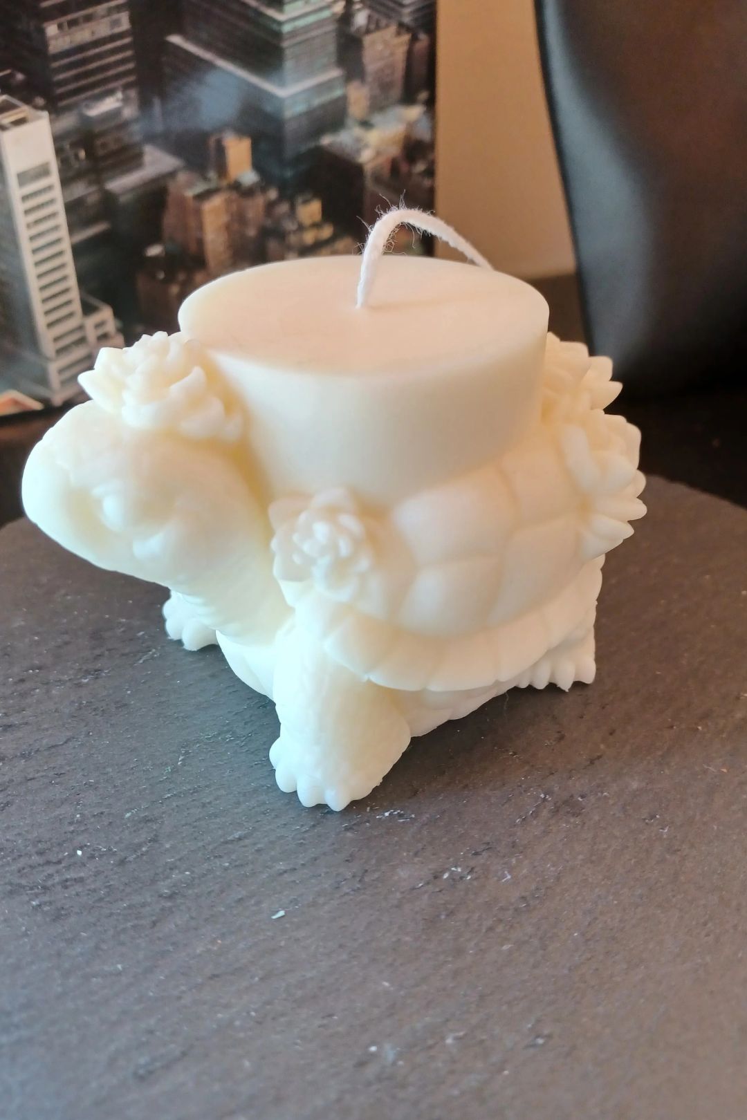 Tortuga