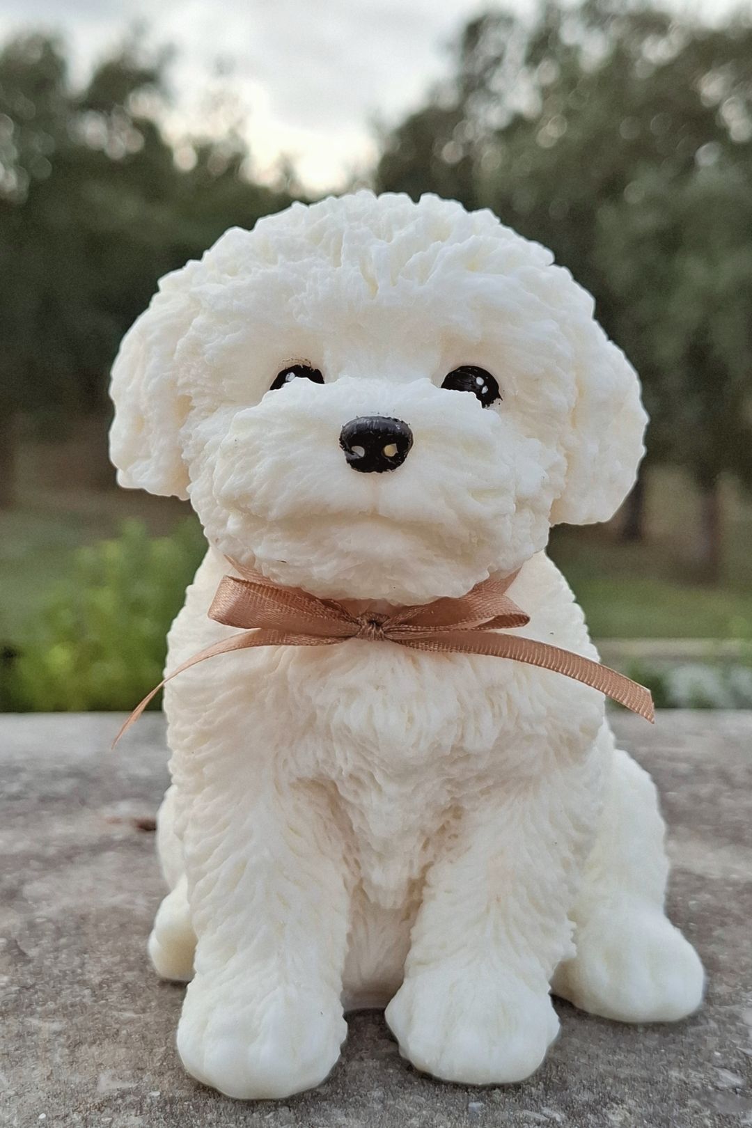 Poodle 🐩