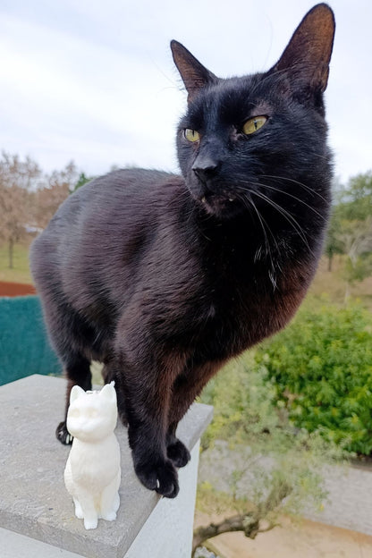 Missy