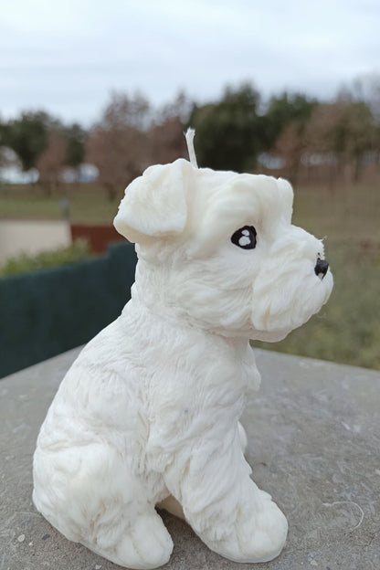 Big Schnauzer