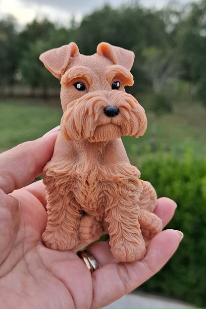 Schnauzer 🐾🤍