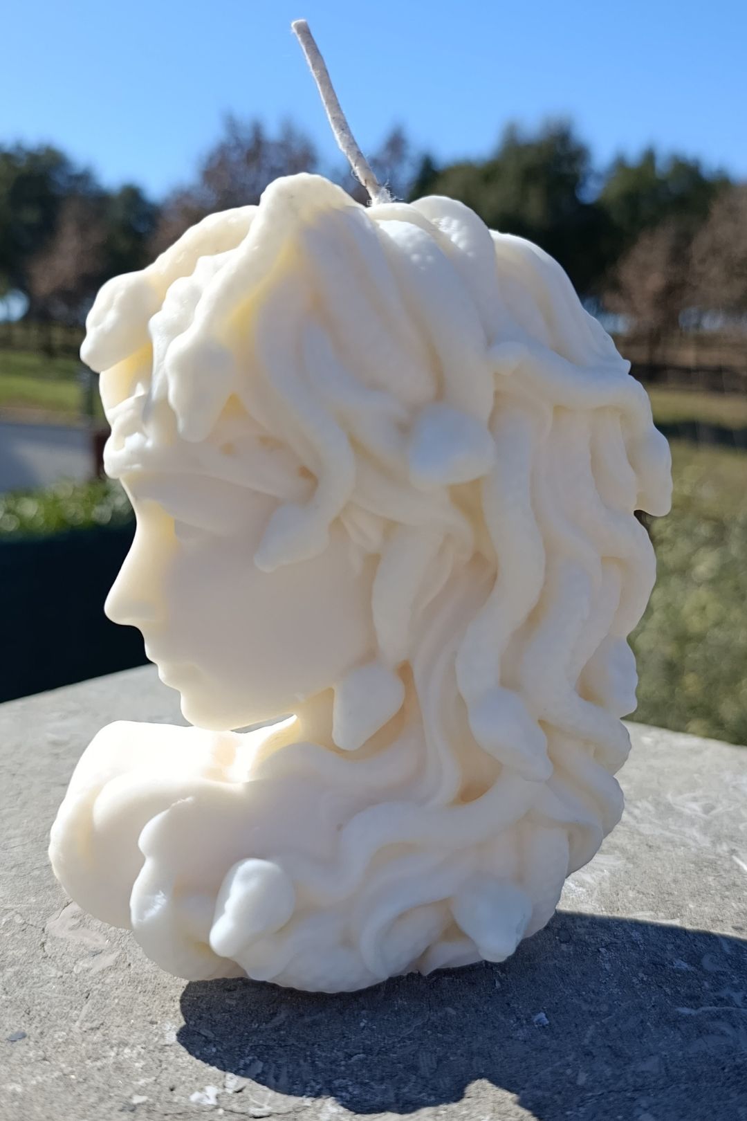 Medusa 𓆗