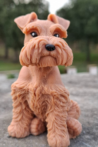 Schnauzer 🐾🤍