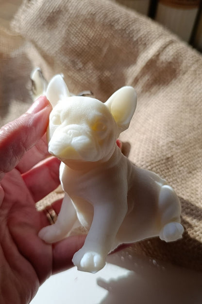 Bulldog Francés