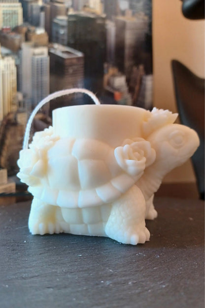 Tortuga