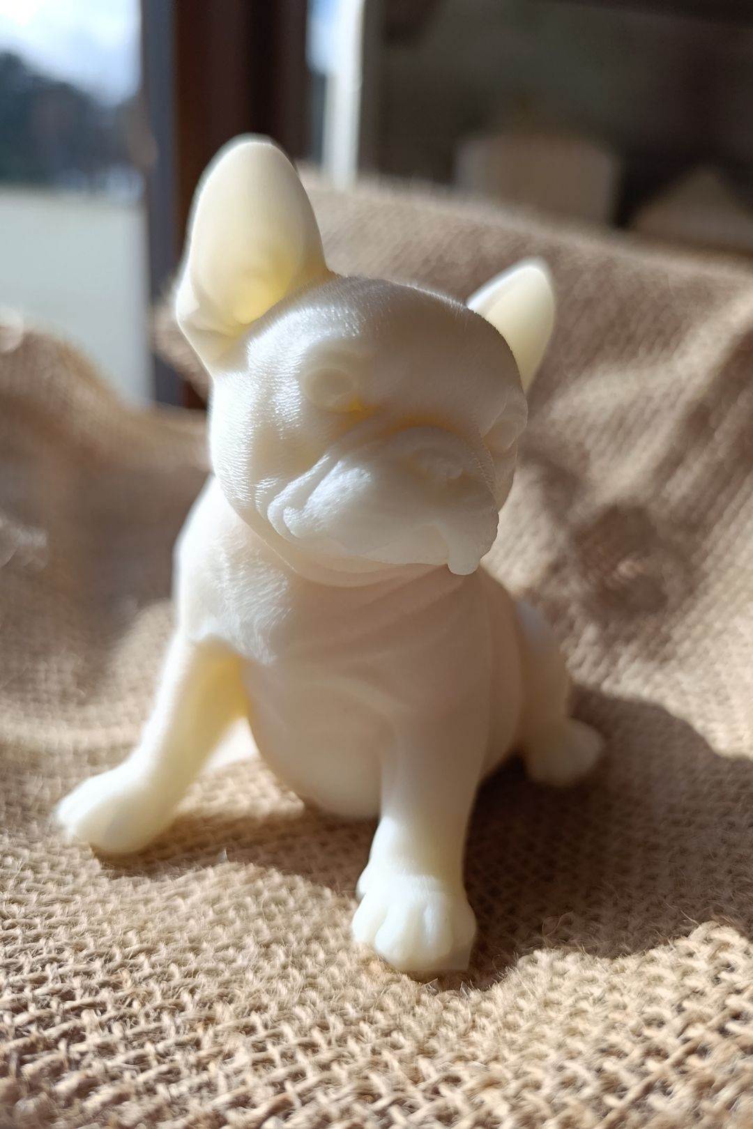 Bulldog Francés