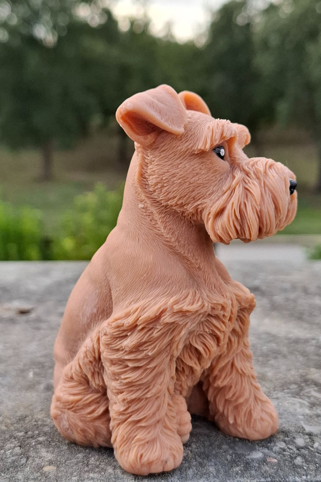 Schnauzer 🐾🤍