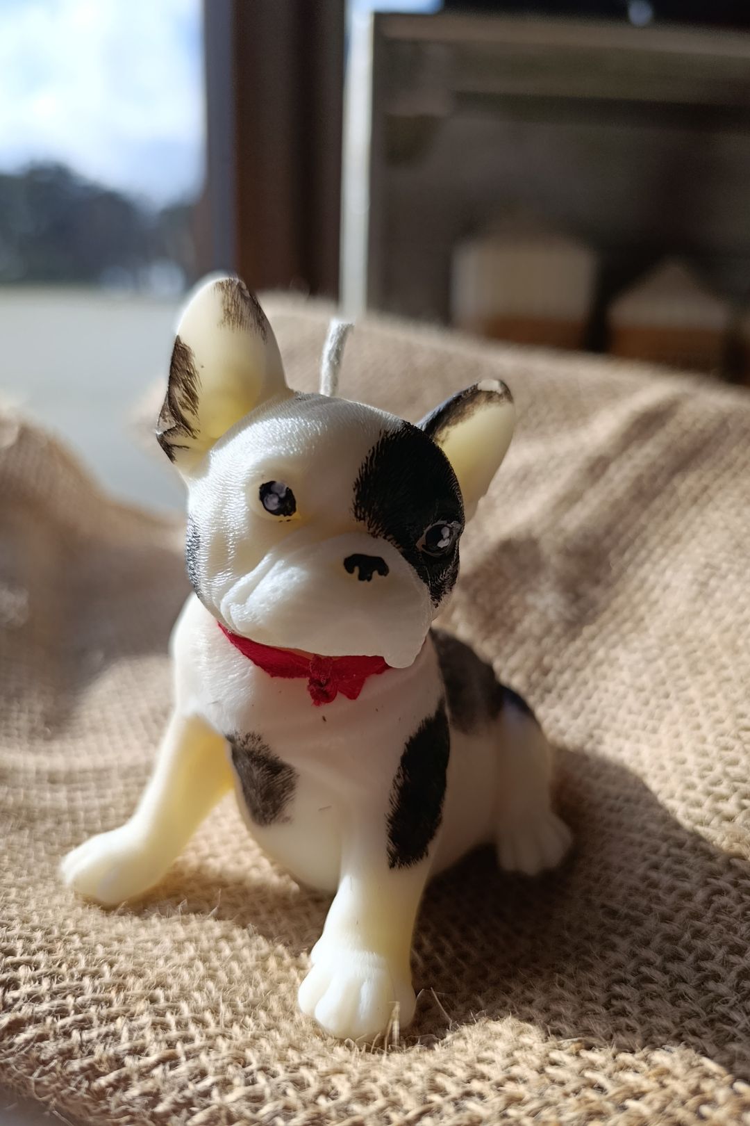 Bulldog Francés