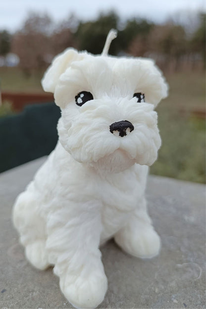 Big Schnauzer