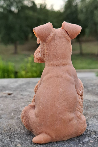 Schnauzer 🐾🤍