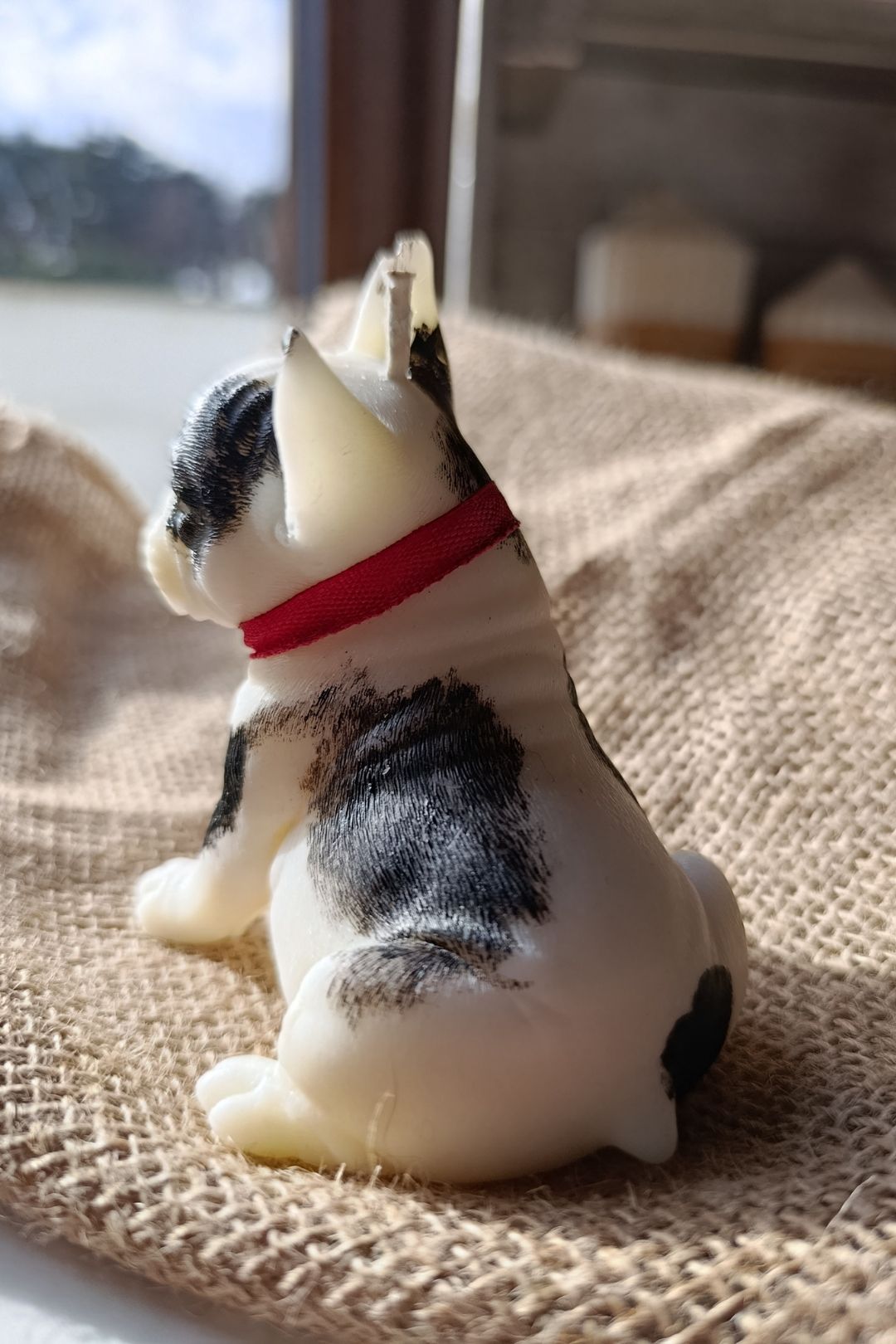 Bulldog Francés