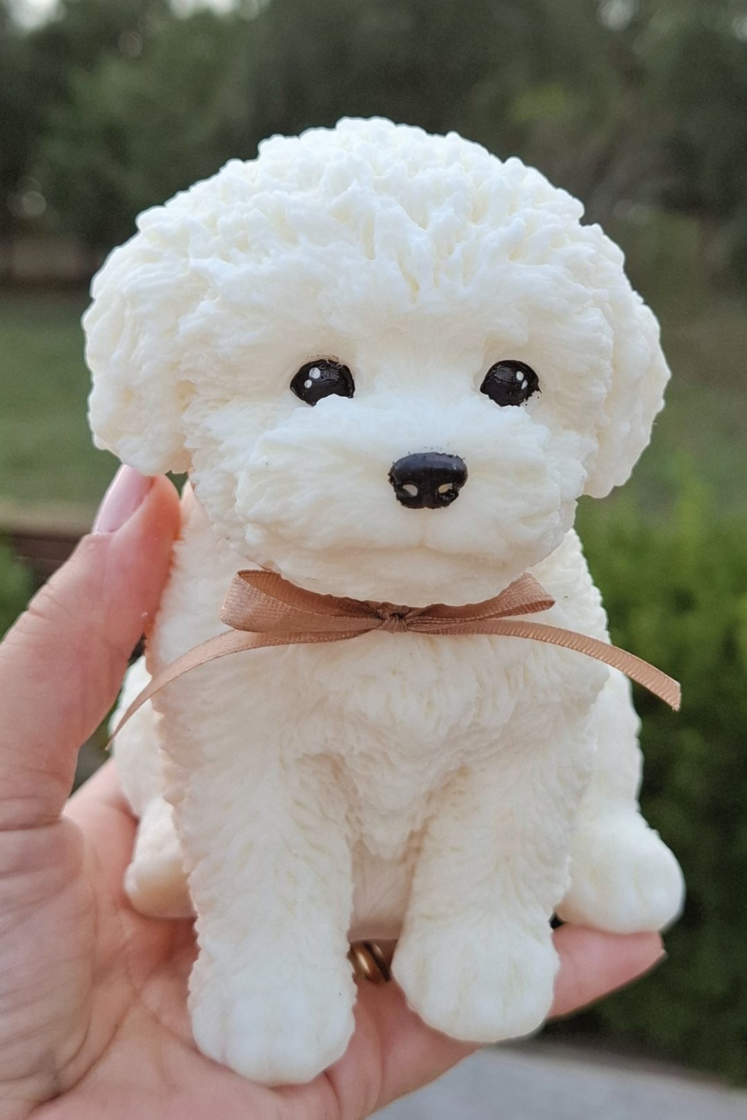 Poodle 🐩
